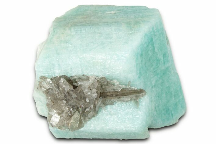 Teal Amazonite Crystal w/ Smoky Quartz - Lake George, Colorado #358600
